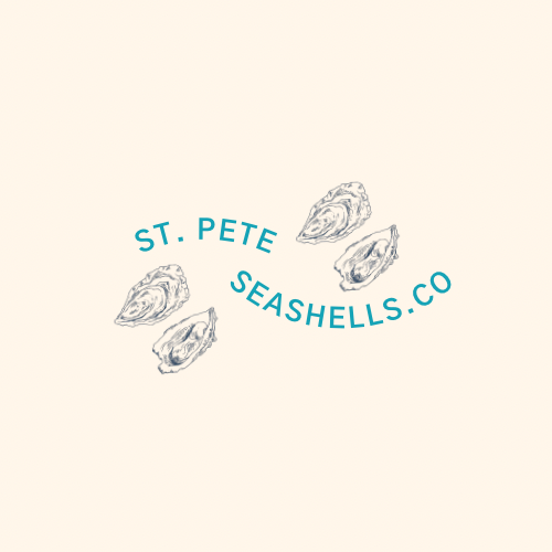 St. Pete Seashells